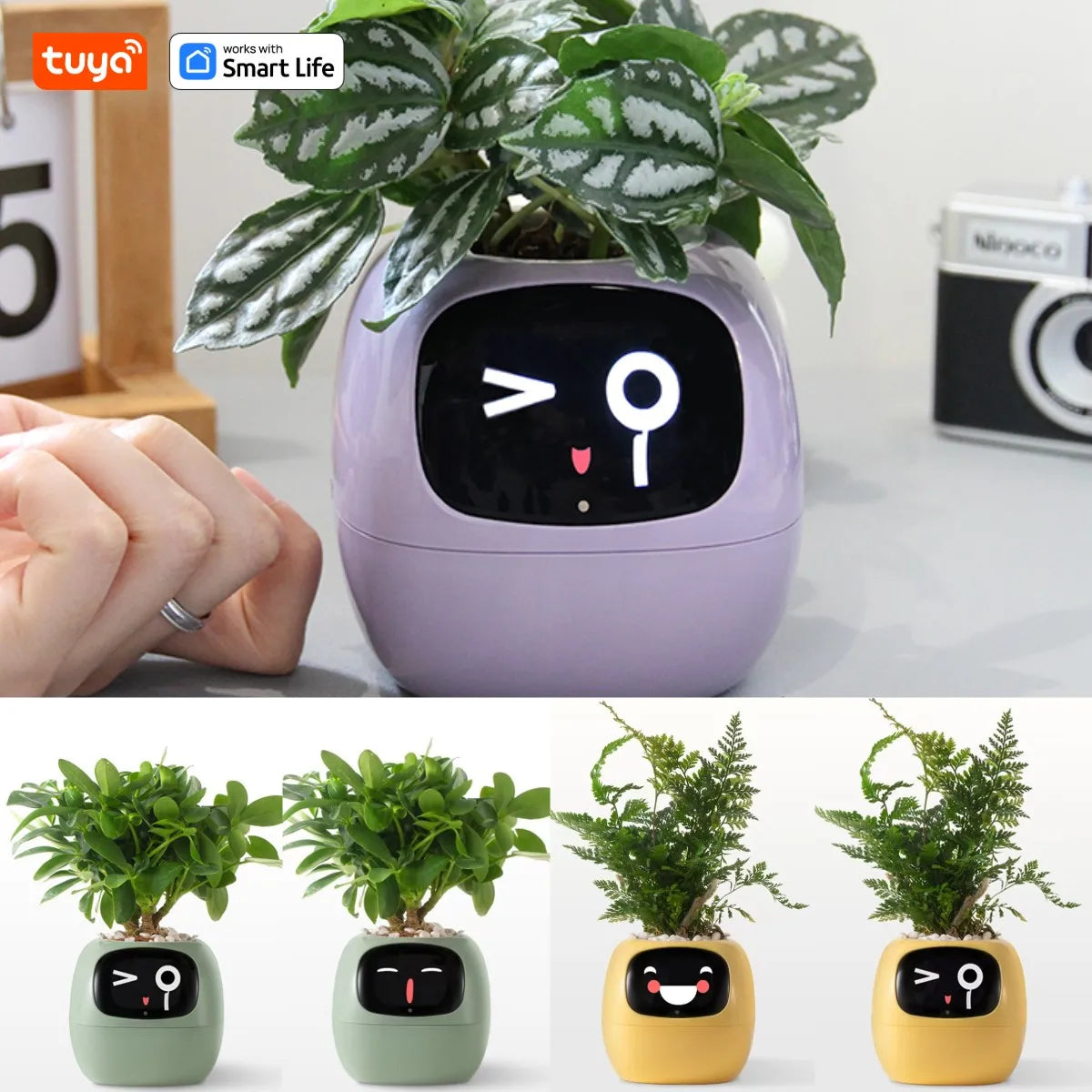 Tuya™ Ivy Smart Planter